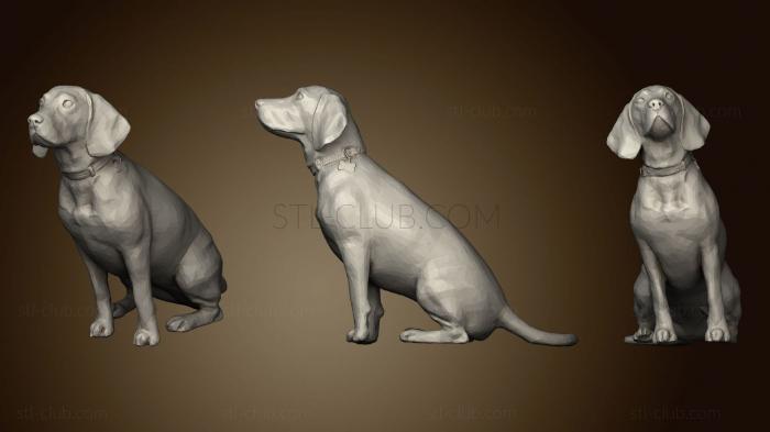 3D model BEAGLE (STL)